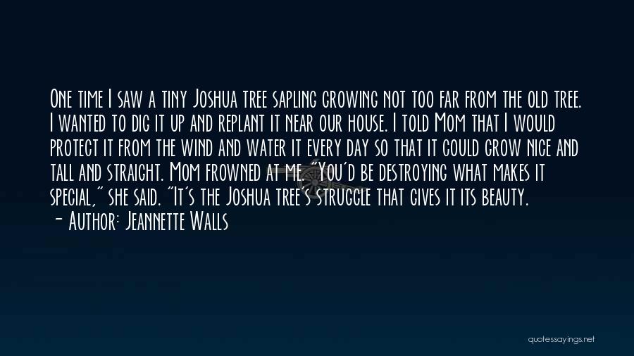 Not The Life I Wanted Quotes By Jeannette Walls
