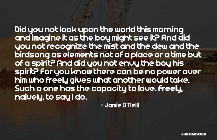 Not The One For You Quotes By Jamie O'Neill