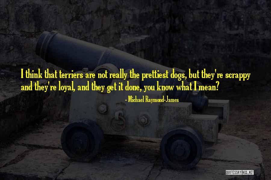 Not The Prettiest Quotes By Michael Raymond-James Not The Prettiest Quotes By Michael Raymond-James
