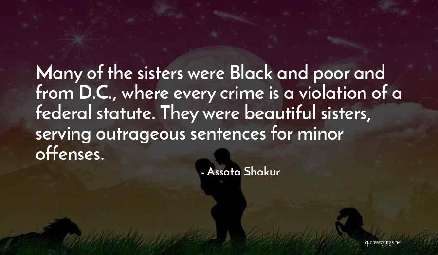 Not The Sharpest Funny Quotes By Assata Shakur Not The Sharpest Funny Quotes By Assata Shakur
