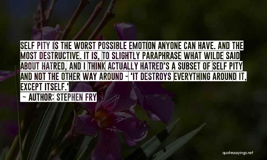 Not Thinking The Worst Quotes By Stephen Fry