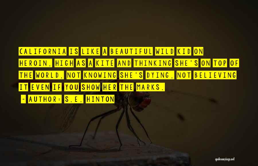 Not Thinking You're Beautiful Quotes By S.E. Hinton