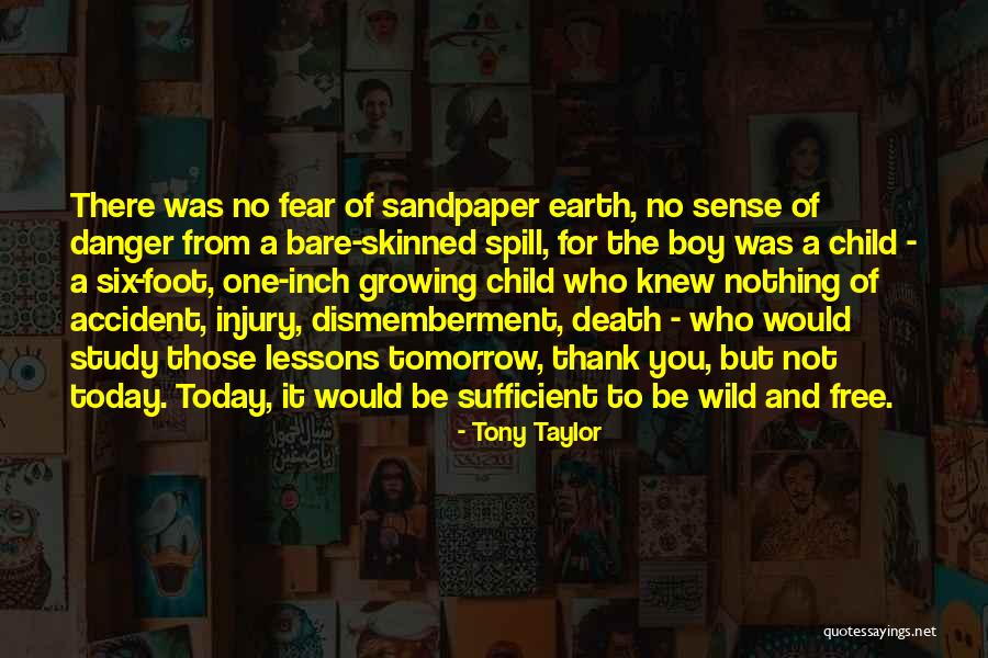 Not To Fear Death Quotes By Tony Taylor Not To Fear Death Quotes By Tony Taylor