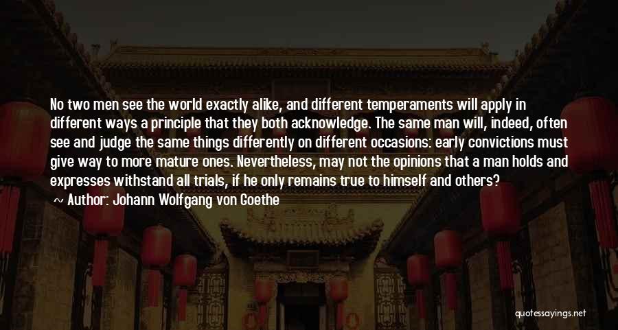 Not To Judge Others Quotes By Johann Wolfgang Von Goethe