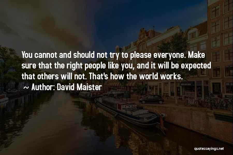 Not To Please Everyone Quotes By David Maister