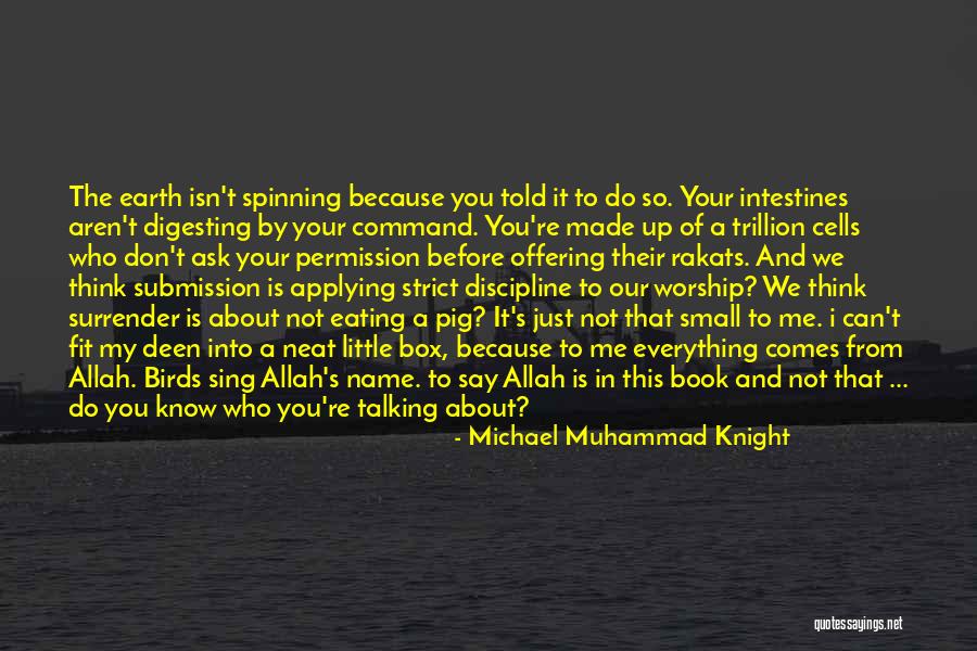 Not Too Big And Not Too Small Quotes By Michael Muhammad Knight Not Too Big And Not Too Small Quotes By Michael Muhammad Knight
