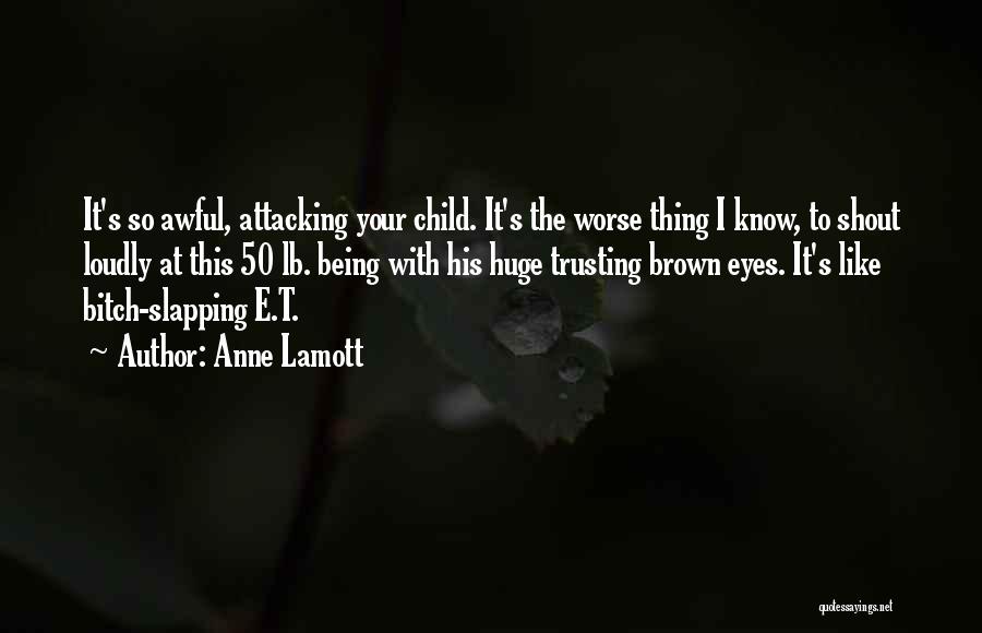 Not Trusting No One Quotes By Anne Lamott