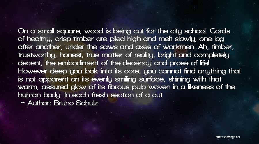 Not Trustworthy Quotes By Bruno Schulz