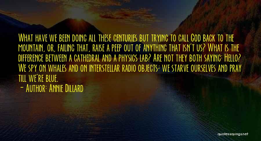 Not Trying But Doing Quotes By Annie Dillard