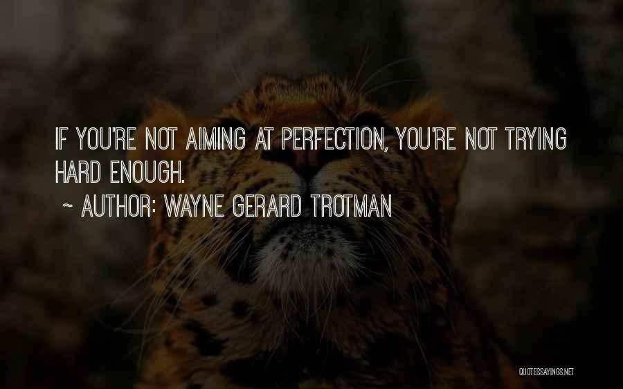 Not Trying Hard Enough Quotes By Wayne Gerard Trotman