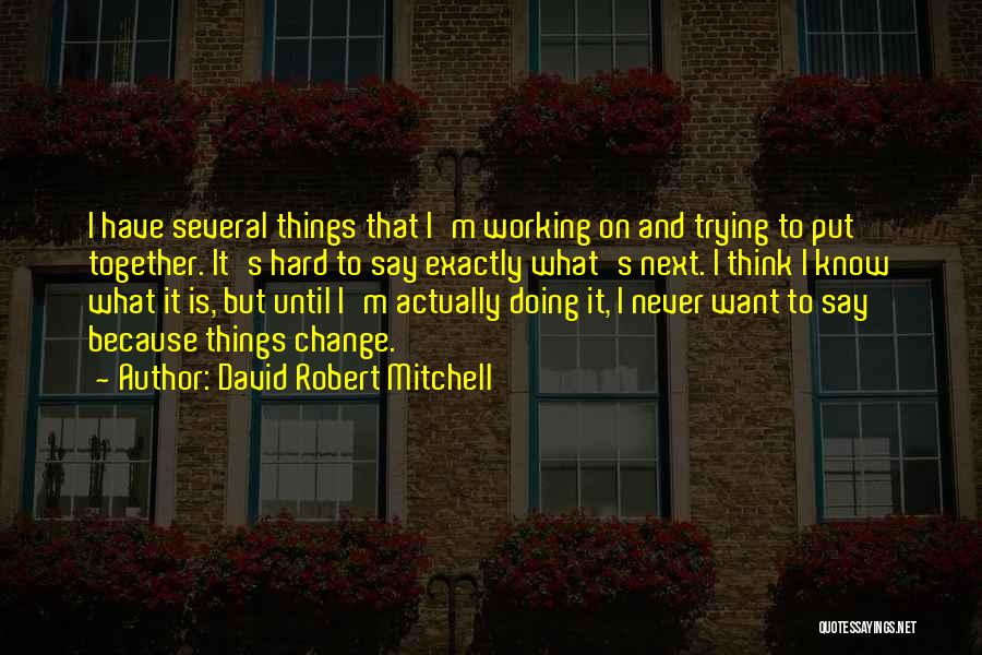 Not Trying To Change Others Quotes By David Robert Mitchell