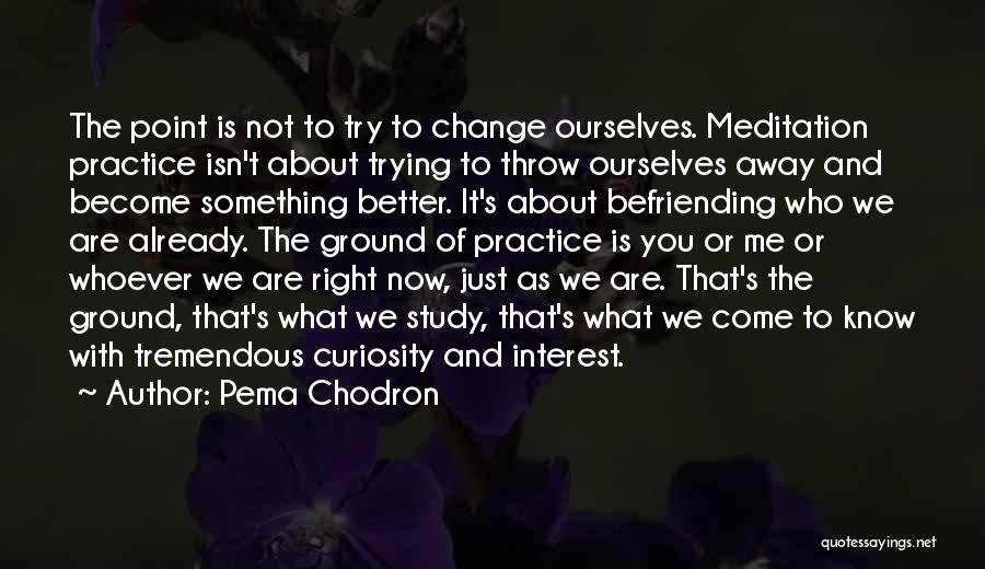 Not Trying To Change Others Quotes By Pema Chodron