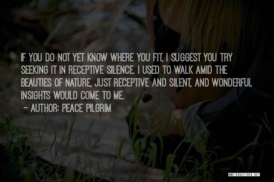 Not Trying To Fit In Quotes By Peace Pilgrim