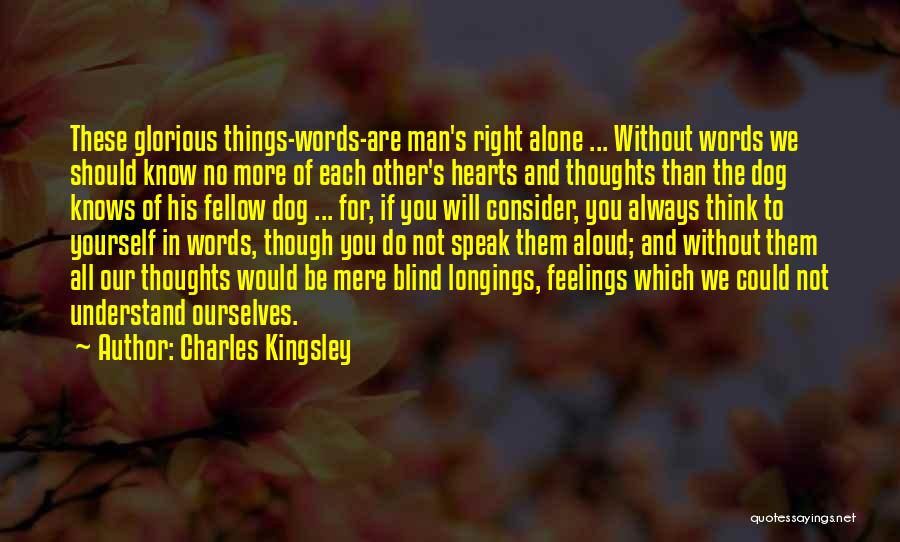Not Understand Feelings Quotes By Charles Kingsley