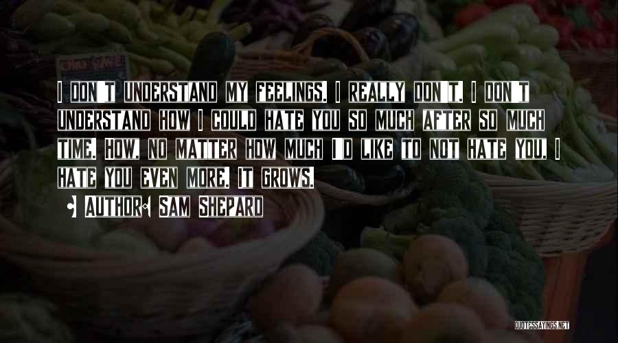 Not Understand Feelings Quotes By Sam Shepard