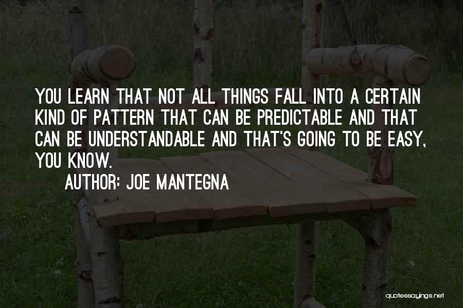 Not Understandable Quotes By Joe Mantegna