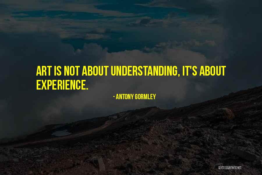 Not Understanding Art Quotes By Antony Gormley