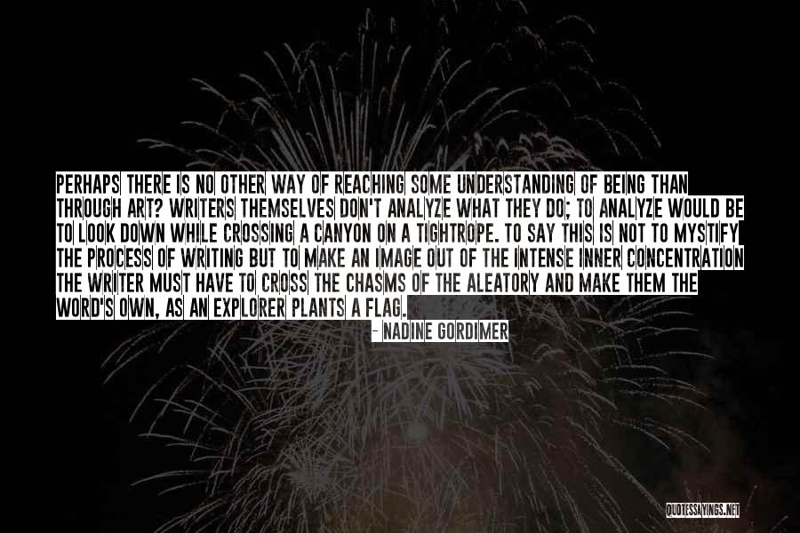 Not Understanding Art Quotes By Nadine Gordimer