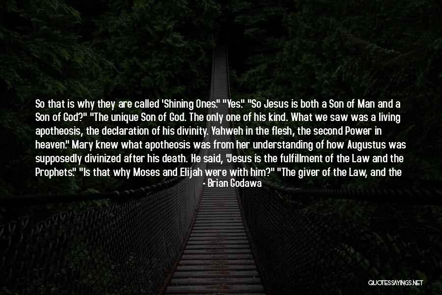 Not Understanding Death Quotes By Brian Godawa Not Understanding Death Quotes By Brian Godawa