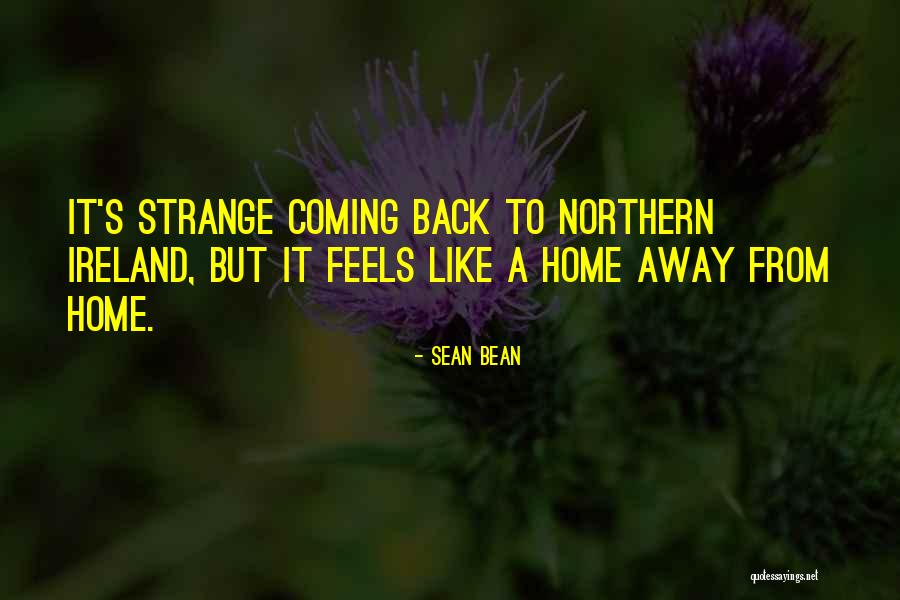 Not Understanding Enemies Quotes By Sean Bean Not Understanding Enemies Quotes By Sean Bean