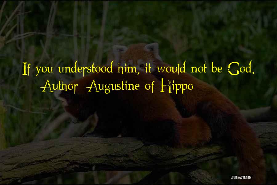 Not Understanding God Quotes By Augustine Of Hippo