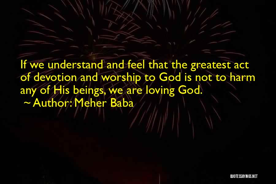 Not Understanding God Quotes By Meher Baba