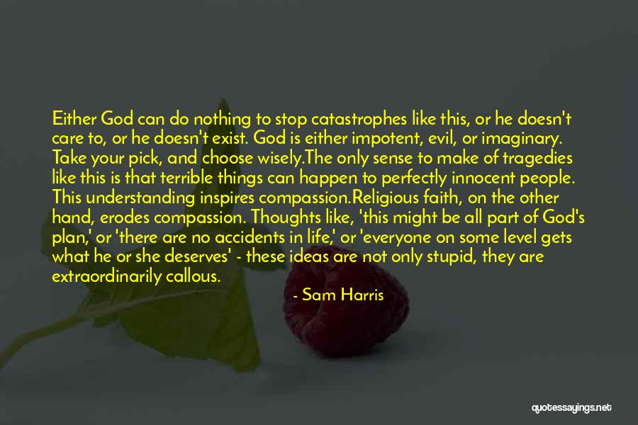 Not Understanding God's Plan Quotes By Sam Harris Not Understanding God's Plan Quotes By Sam Harris