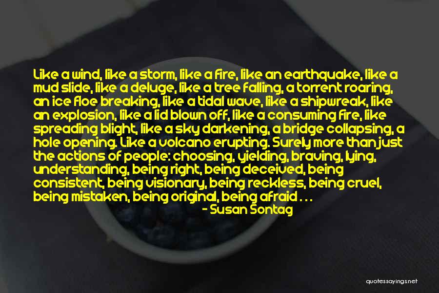 Not Understanding People's Actions Quotes By Susan Sontag