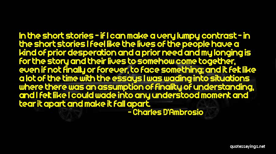 Not Understanding Situations Quotes By Charles D'Ambrosio