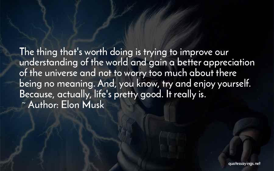 Not Understanding The World Quotes By Elon Musk