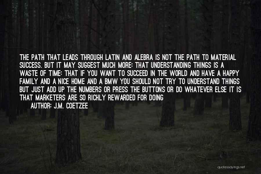 Not Understanding The World Quotes By J.M. Coetzee