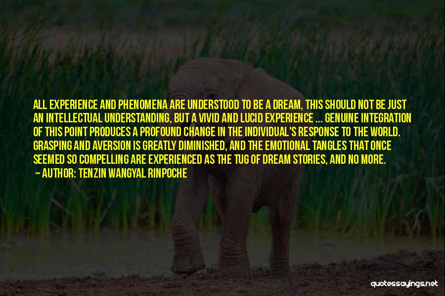 Not Understanding The World Quotes By Tenzin Wangyal Rinpoche