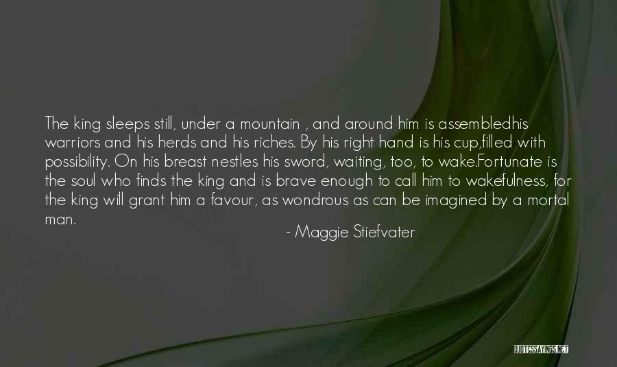 Not Waiting Around For A Man Quotes By Maggie Stiefvater