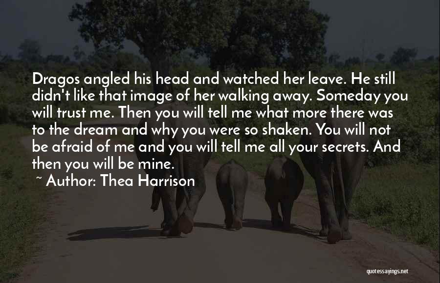 Not Walking Away From Love Quotes By Thea Harrison