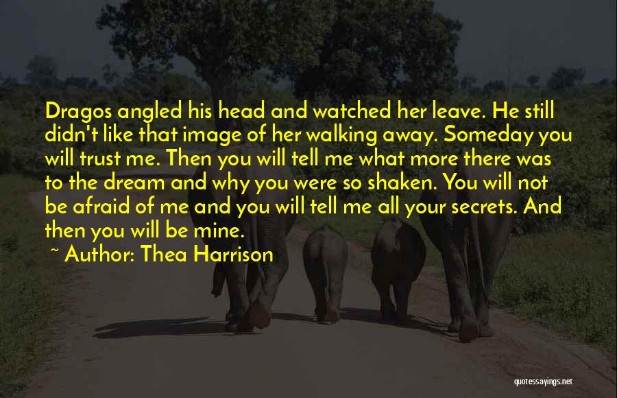 Not Walking Away Quotes By Thea Harrison