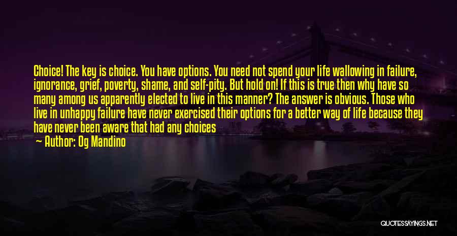 Not Wallowing In Self Pity Quotes By Og Mandino