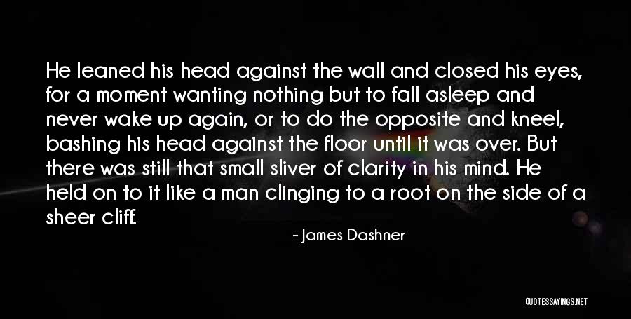 Not Wanting To Fall For Someone Quotes By James Dashner