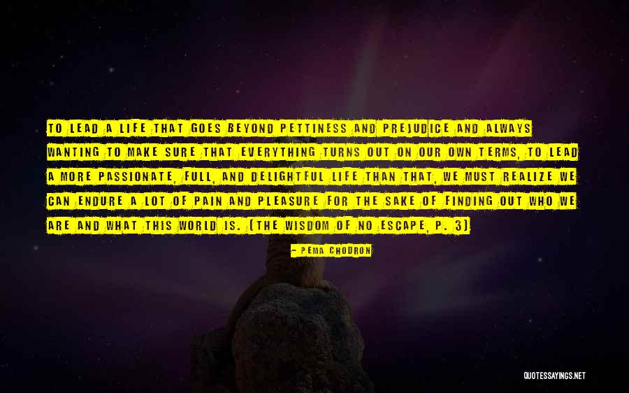 Not Wanting To Lead Someone On Quotes By Pema Chodron Not Wanting To Lead Someone On Quotes By Pema Chodron