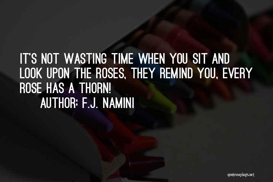 Not Wasting Time Quotes By F.J. Namini