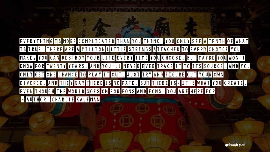 Not Wasting Your Time Quotes By Charlie Kaufman