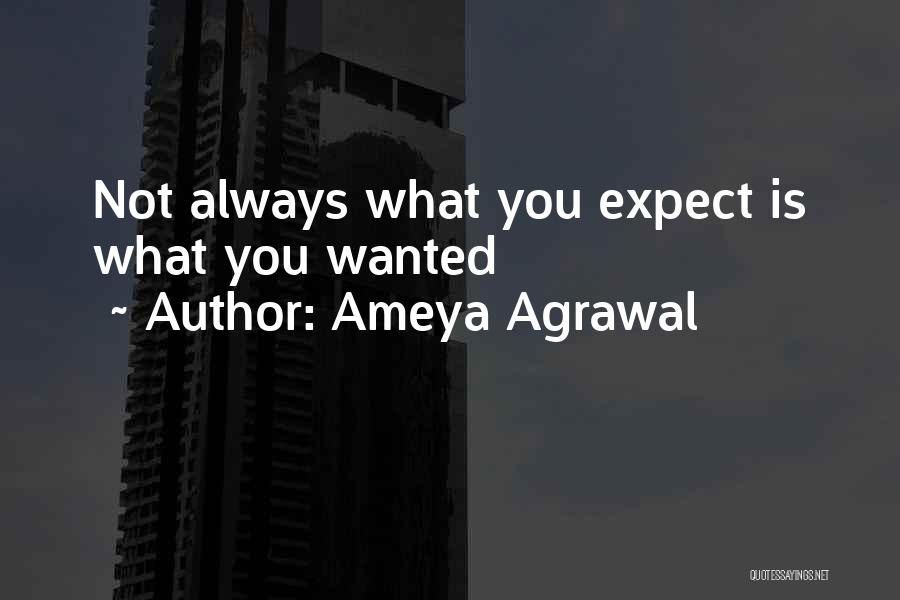 Not What You Wanted Quotes By Ameya Agrawal