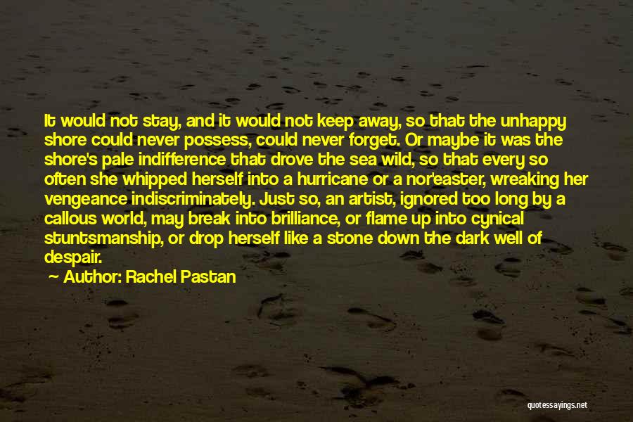 Not Whipped Quotes By Rachel Pastan