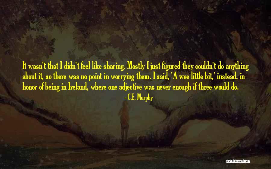 Not Worrying About The Little Things Quotes By C.E. Murphy Not Worrying About The Little Things Quotes By C.E. Murphy