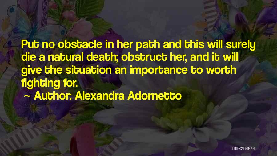 Not Worth Fighting Over Quotes By Alexandra Adornetto