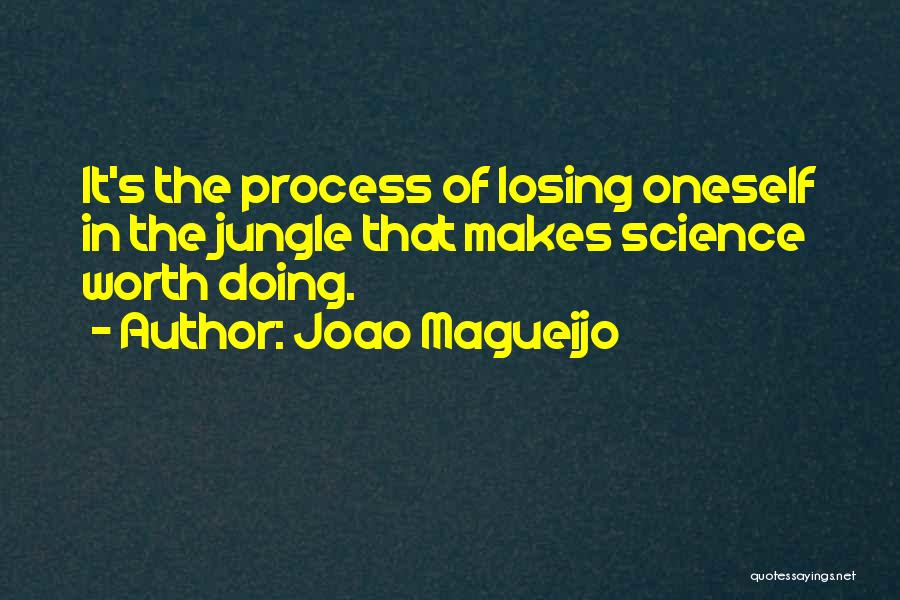 Not Worth Losing Quotes By Joao Magueijo