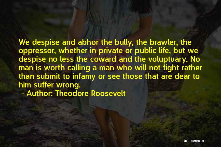 Not Worth The Fight Quotes By Theodore Roosevelt