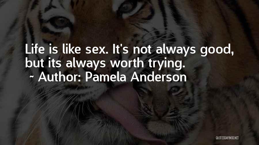 Not Worth Trying Quotes By Pamela Anderson