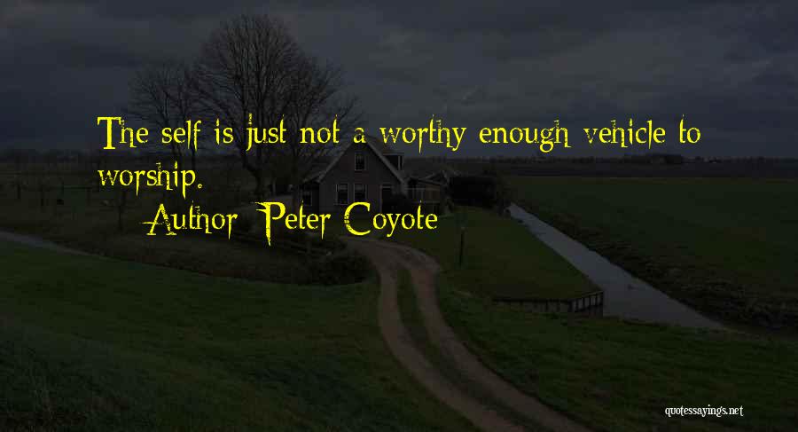 Not Worthy Enough Quotes By Peter Coyote