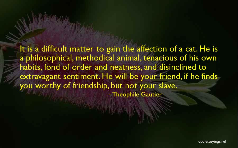 Not Worthy Friendship Quotes By Theophile Gautier