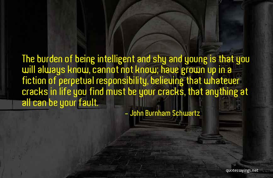 Not Your Fault Quotes By John Burnham Schwartz